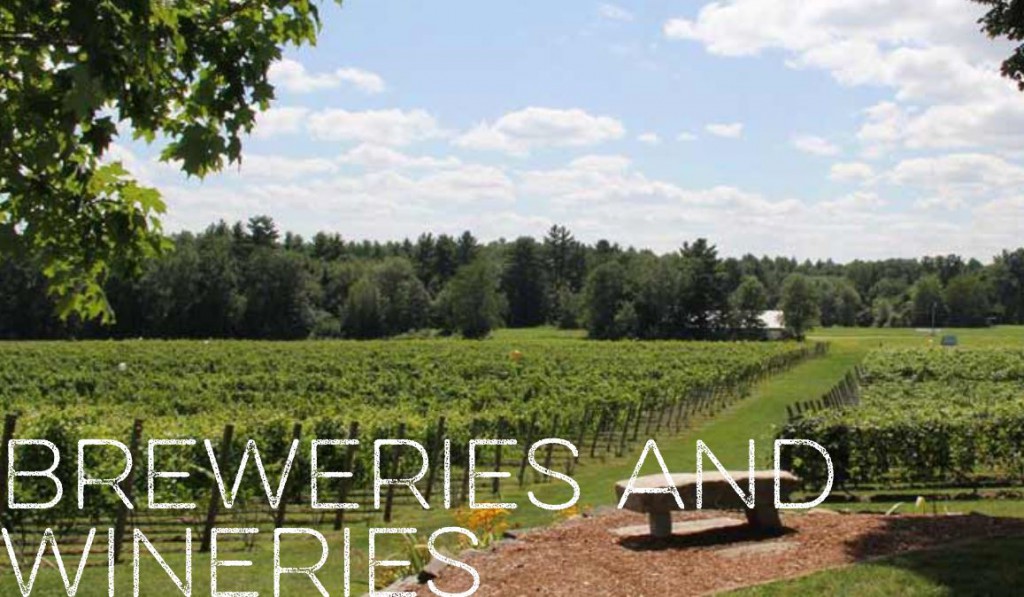 Add Breweries & Wineries to Your NH Foliage Tour