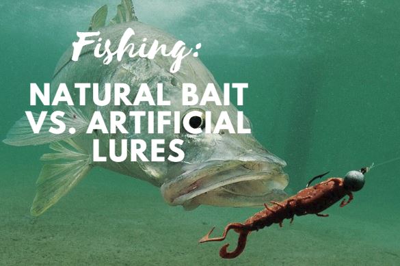 Fishing: Natural Bait vs. Artificial Lures