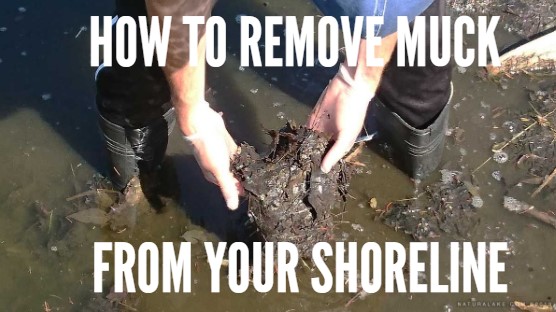 Muck Removal